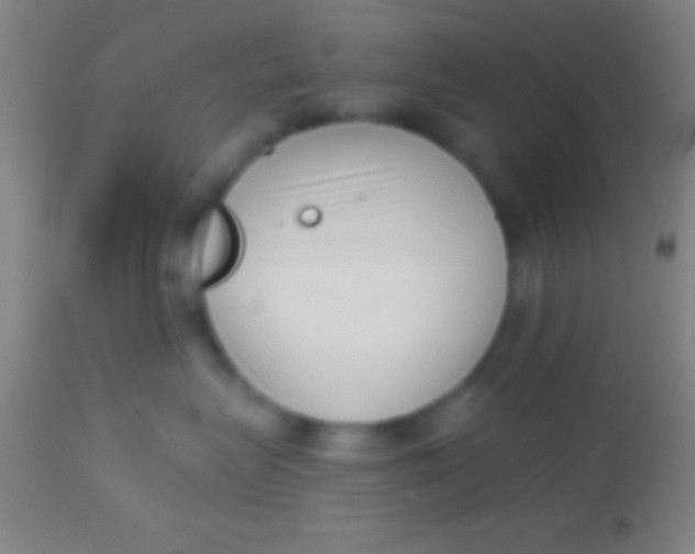 X0000113940575200910161918