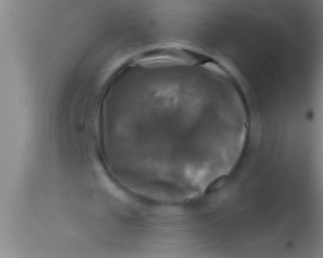 X0000113940577200910161917
