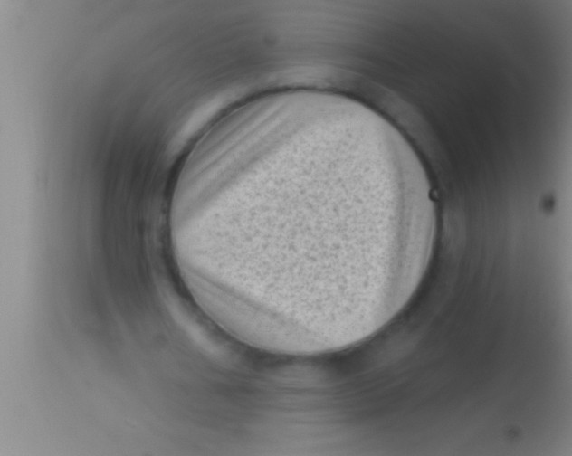 X0000113940578200910161917