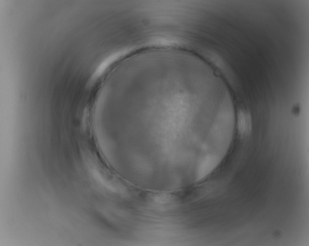 X0000113940579200910161917