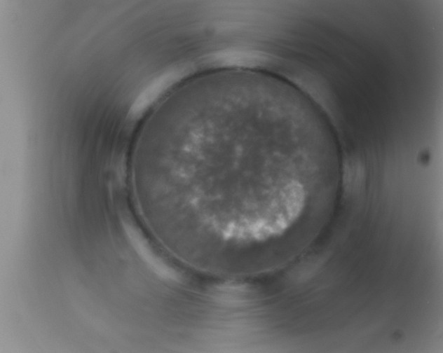 X0000113940581200910161917