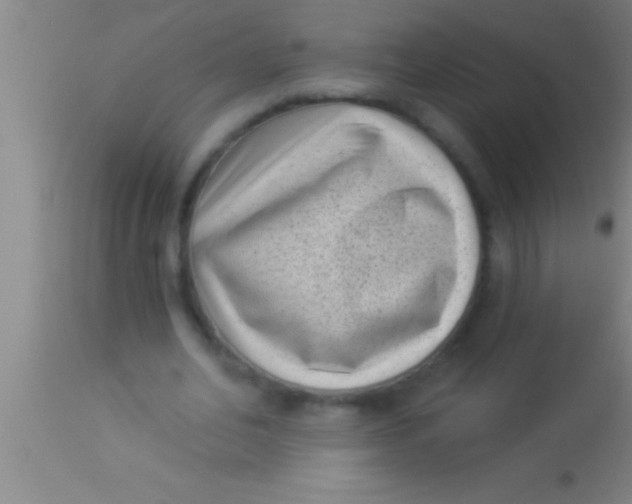 X0000113940582200910161917