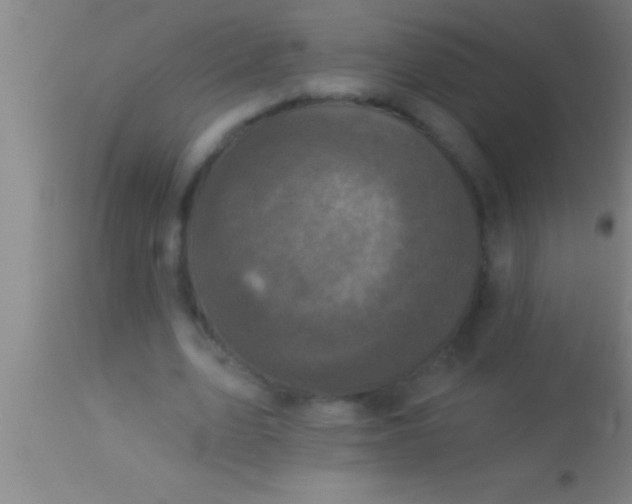 X0000113940583200910161917
