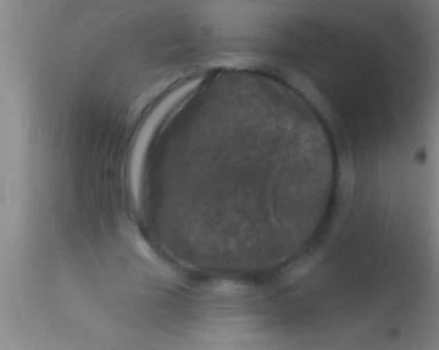 X0000113940585200910161917