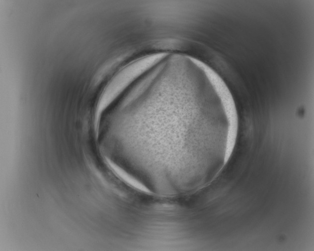 X0000113940586200910161917