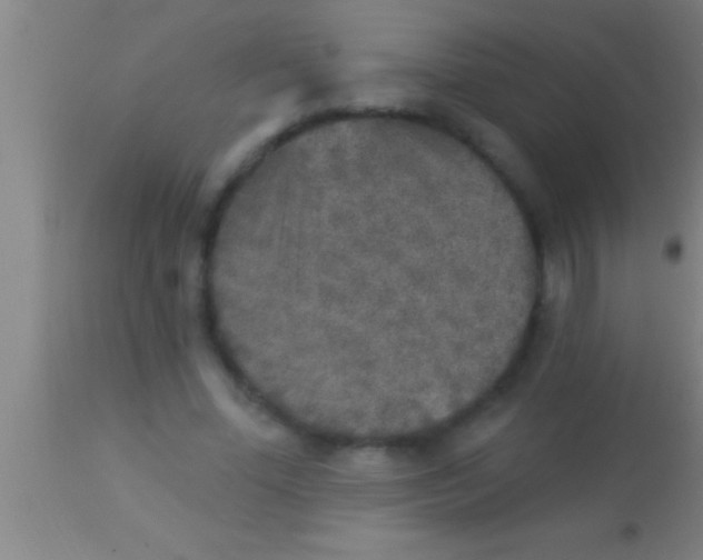 X0000113940588200910161917