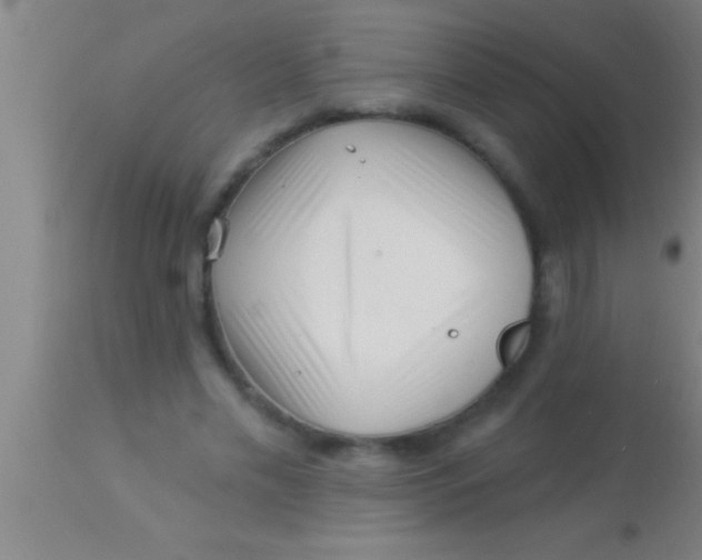 X0000113940589200910161917