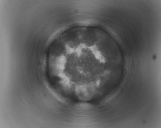 X0000113940590200910161917