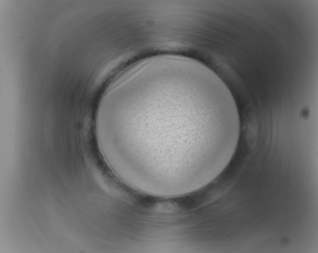X0000113940591200910161917