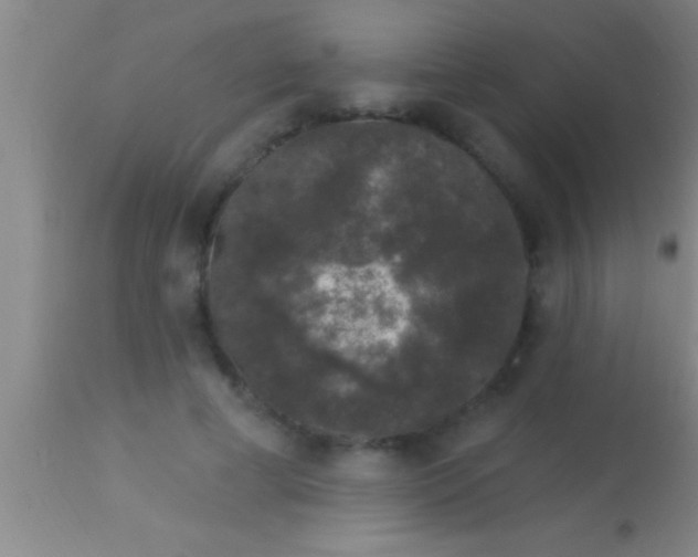 X0000113940593200910161917