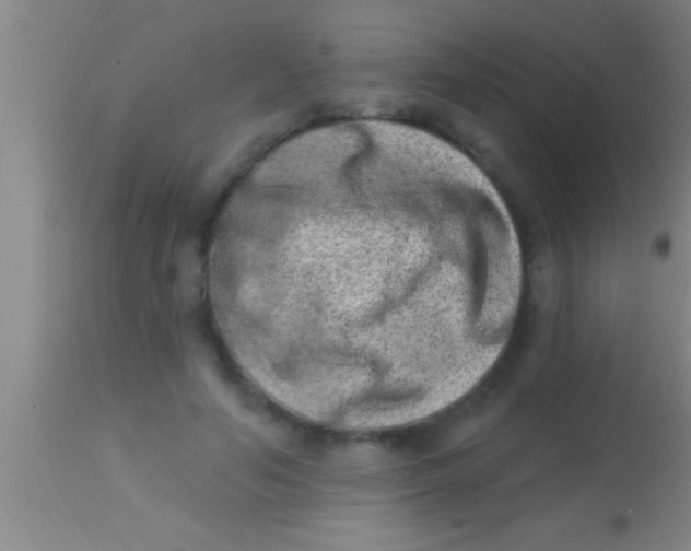 X0000113940594200910161917