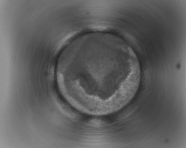 X0000113940596200910161917