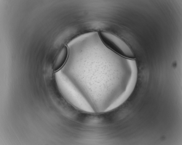 X0000113940597200910161917