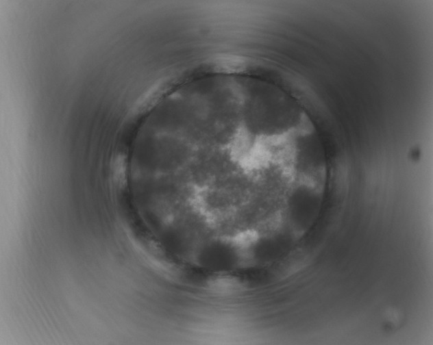 X0000113940598200910161917