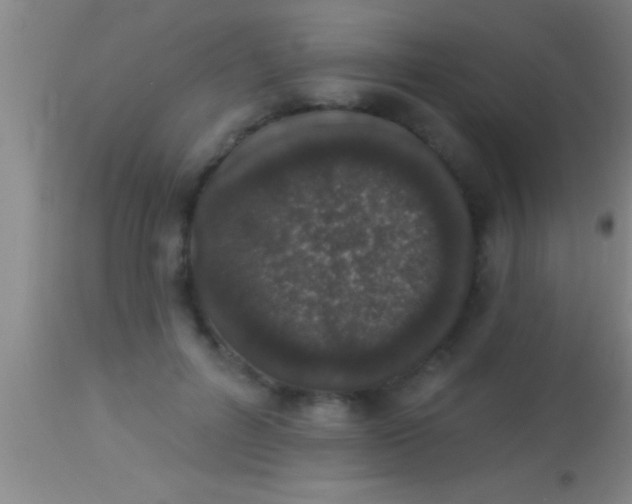 X0000113940600200910161917