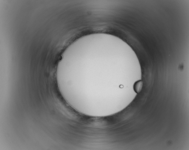 X0000113940601200910161917