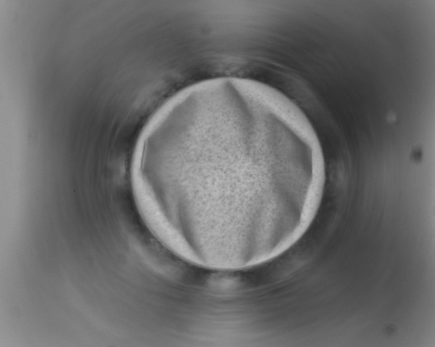 X0000113940602200910161917
