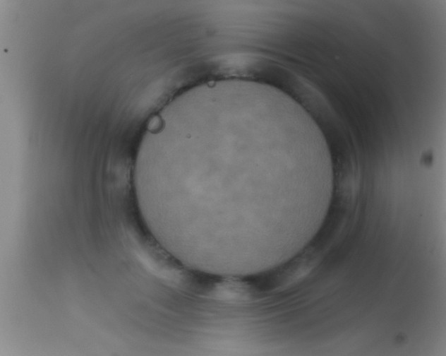 X0000113940603200910161917