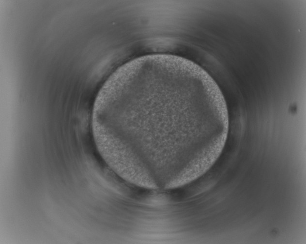 X0000113940604200910161917