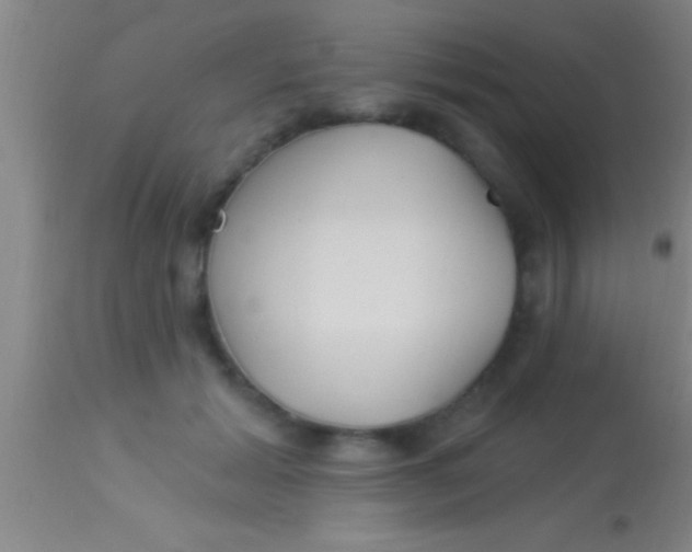 X0000113940605200910161917