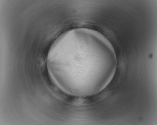 X0000113940607200910161917