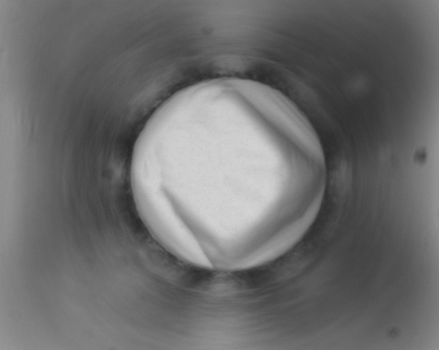 X0000113940608200910161917