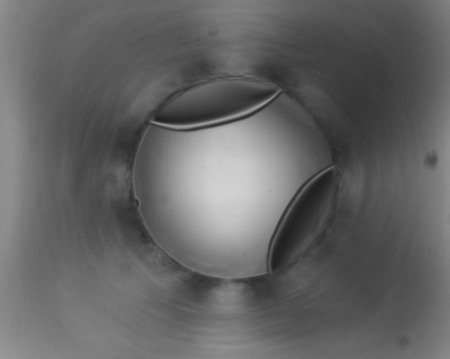 X0000113940609200910161916