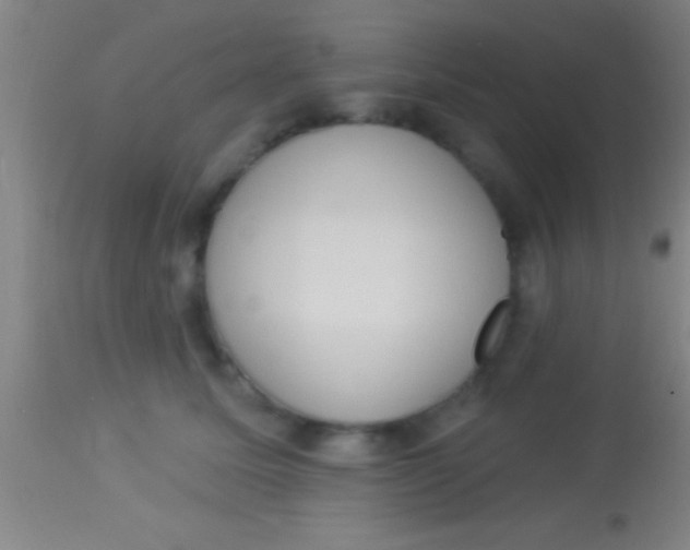 X0000113940611200910161916