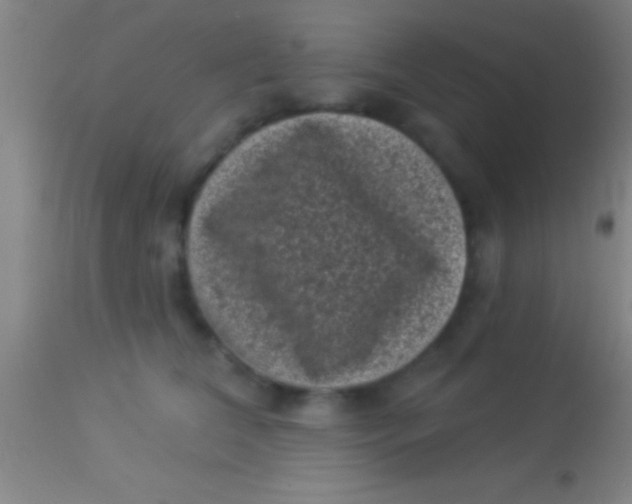 X0000113940612200910161916