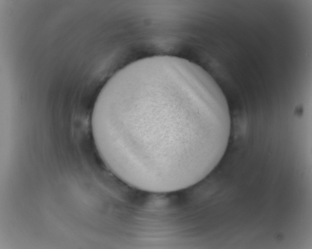 X0000113940613200910161916