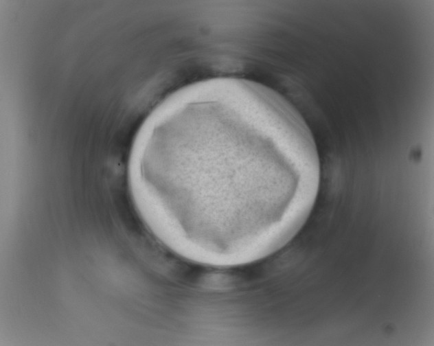 X0000113940614200910161916