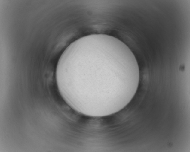X0000113940615200910161916