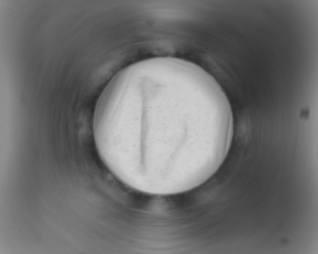 X0000113940616200910161916