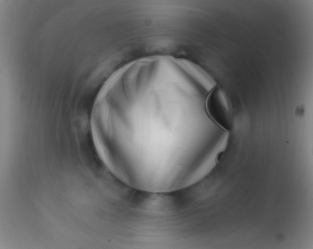 X0000113940617200910161916