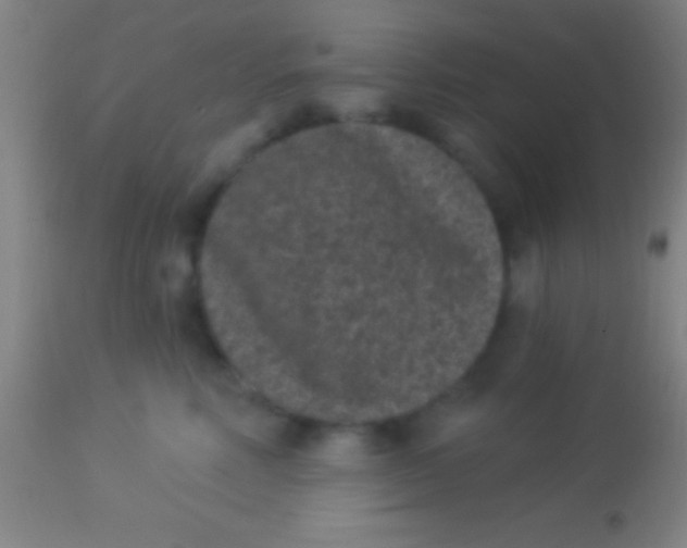 X0000113940618200910161916