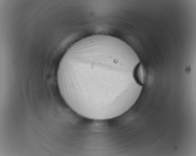 X0000113940619200910161916