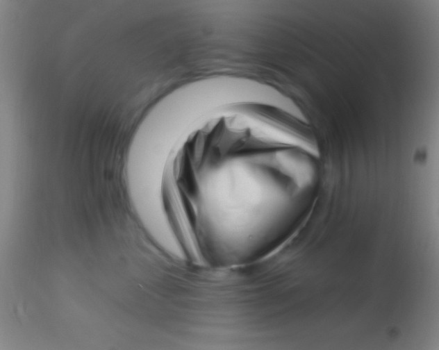 X0000113940621200910161916