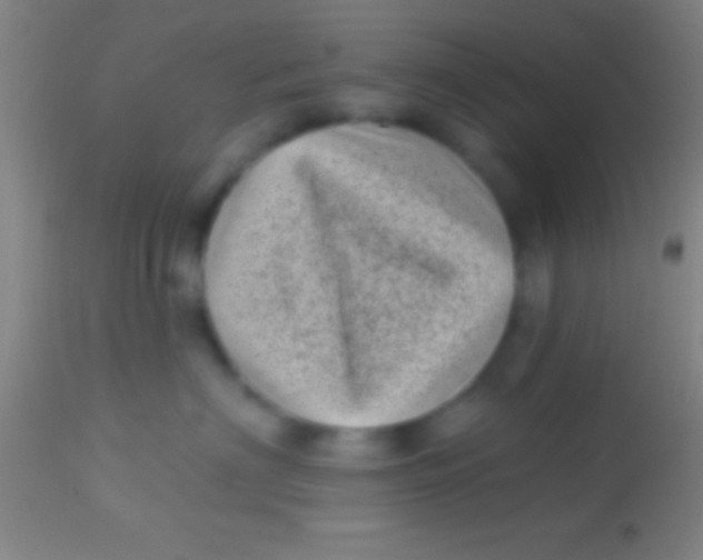 X0000113940622200910161916