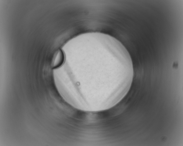 X0000113940623200910161916