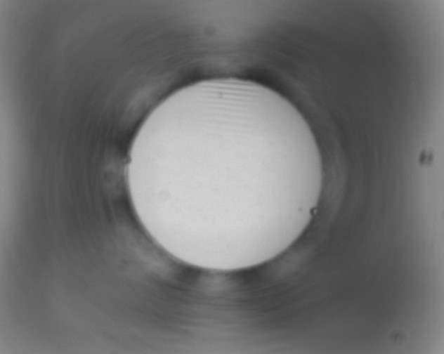 X0000113940624200910161916