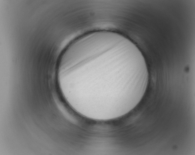 X0000113940630200910161916