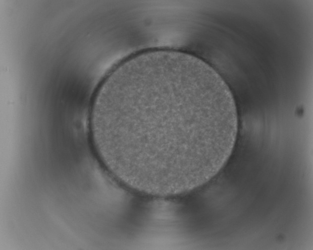 X0000113940632200910161916
