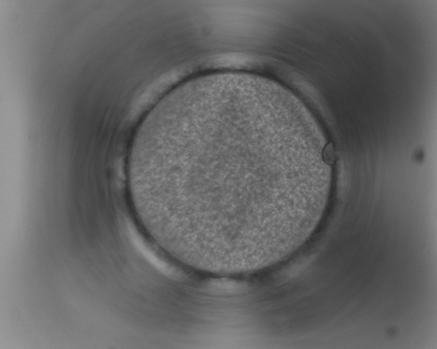 X0000113940633200910161916