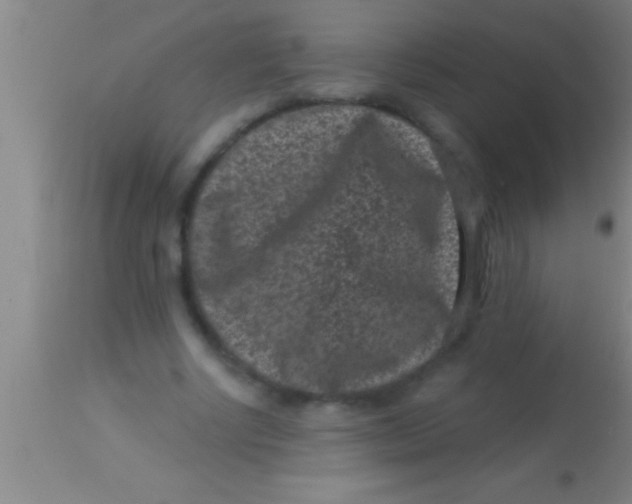 X0000113940634200910161916