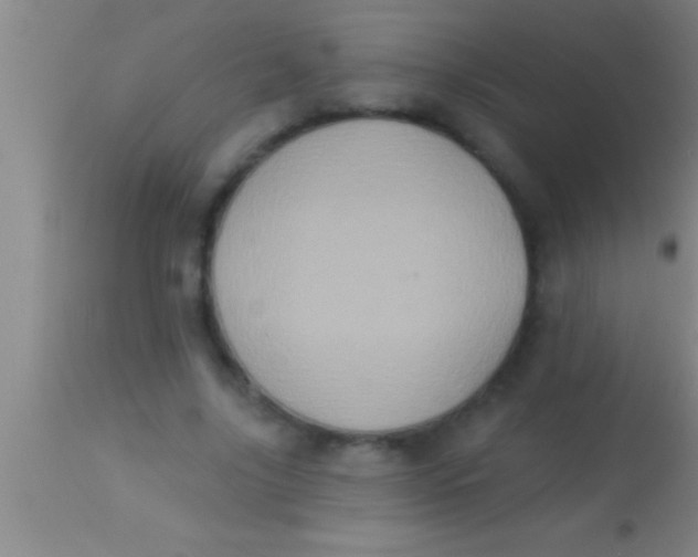 X0000113940635200910161916