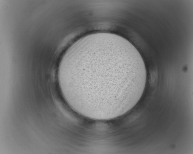 X0000113940636200910161916