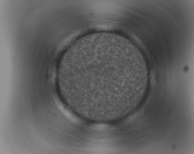 X0000113940637200910161916