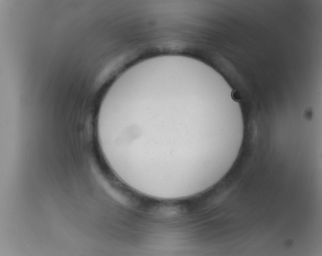 X0000113940638200910161916