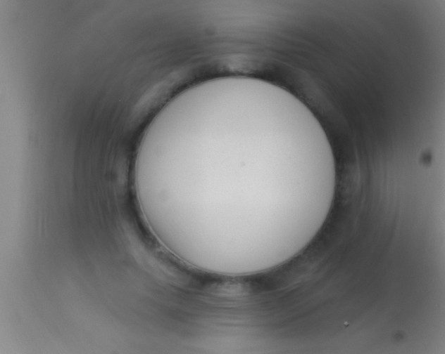 X0000113940639200910161916