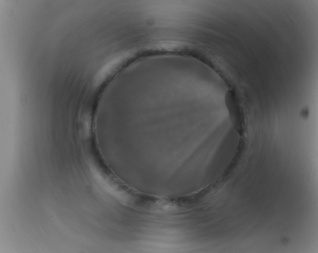 X0000113940640200910161916